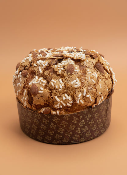 Panettone alle albicocche
