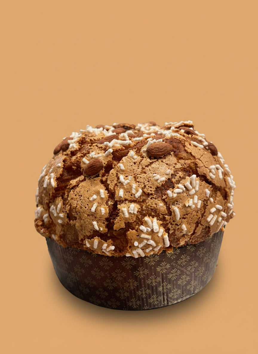 Panettone alle albicocche