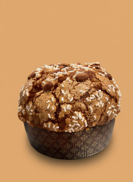 Panettone alle albicocche